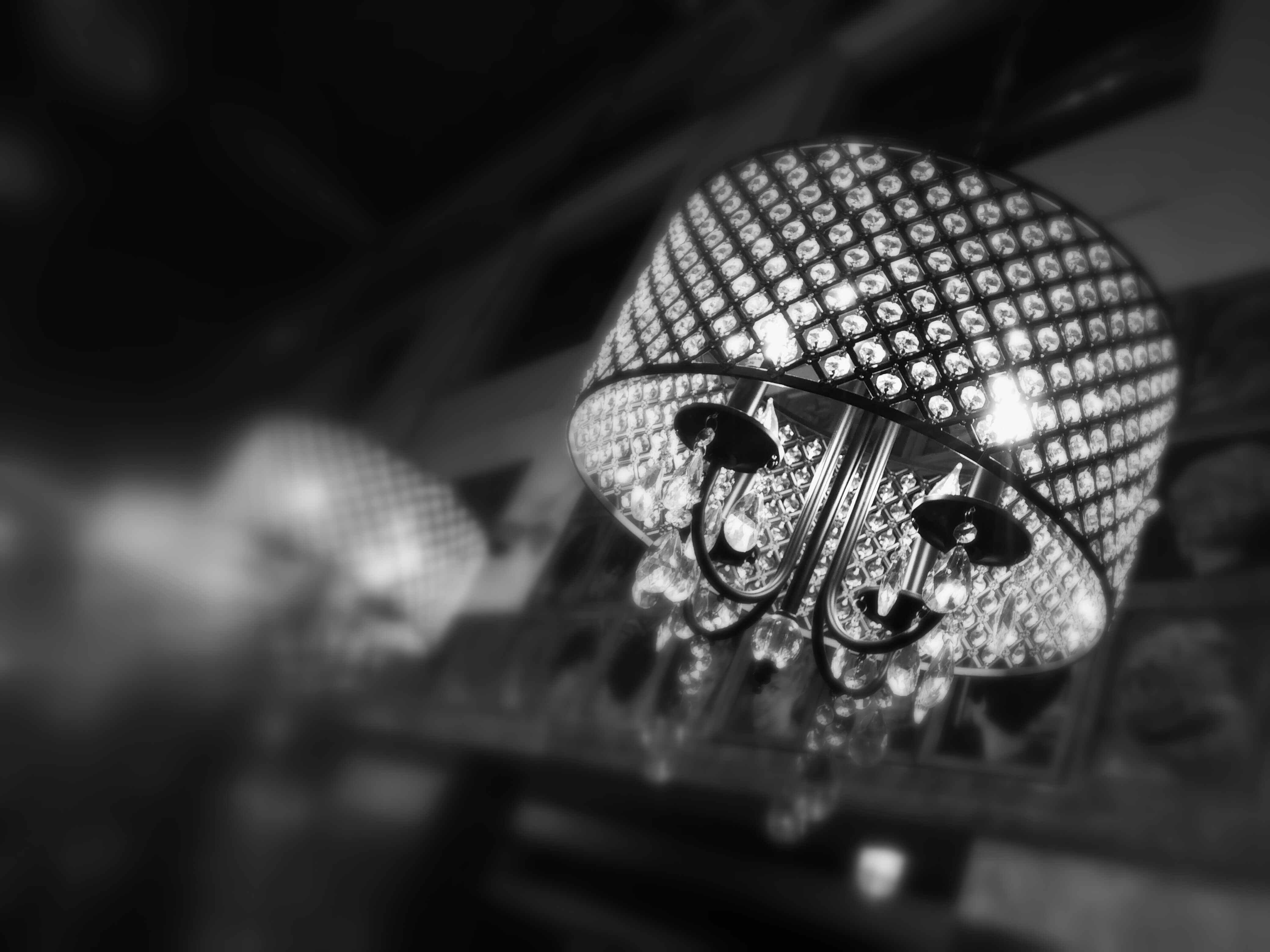 True Habitat Gallery Image 10